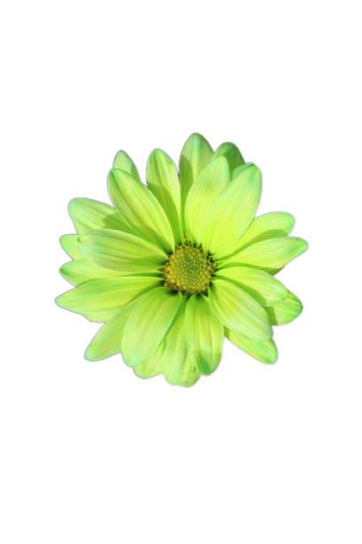 Atlantis Tinted Green