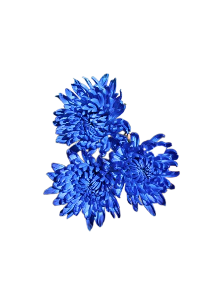 Chita Tinted Blue