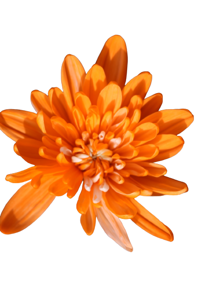 Maisy Tinted Orange